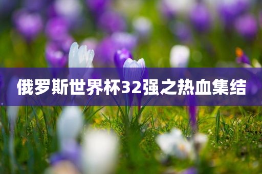 俄罗斯世界杯32强之热血集结