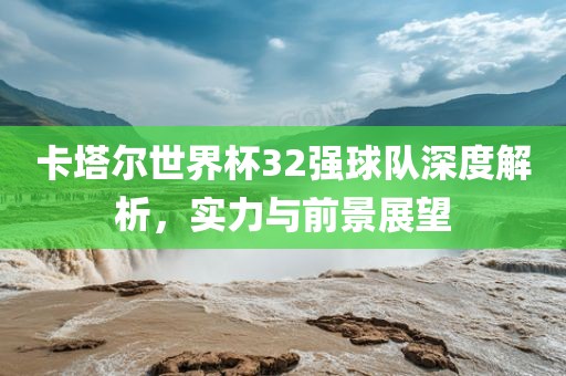卡塔尔世界杯32强球队深度解析，实力与前景展望