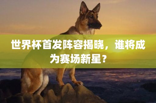 世界杯首发阵容揭晓，谁将成为赛场新星？