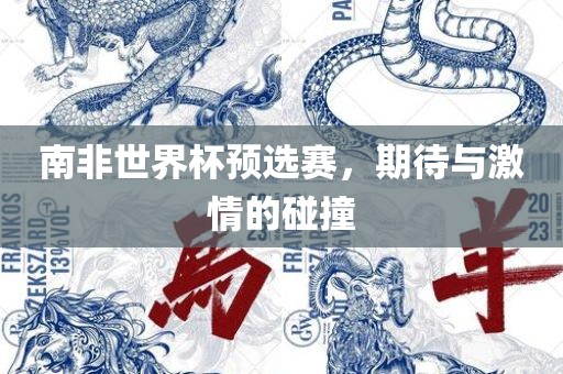 南非世界杯预选赛，期待与激情的碰撞
