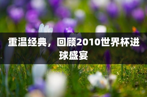 世界杯进球盛宴
