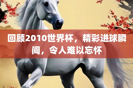 回顾2010世界杯，精彩进球瞬间，令人难以忘怀吉安市靖泰电力工程有限公司