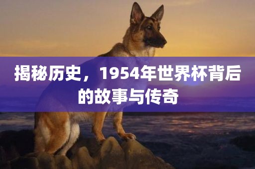 揭秘历史，1954年世界杯背后的故事与传奇吉安市靖泰电力工程有限公司