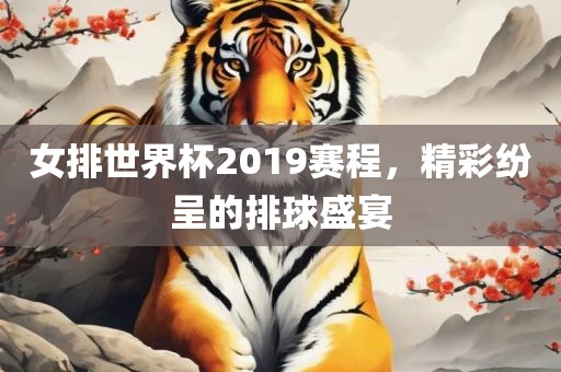 女排世界杯2019赛程，精彩纷呈的排球盛宴