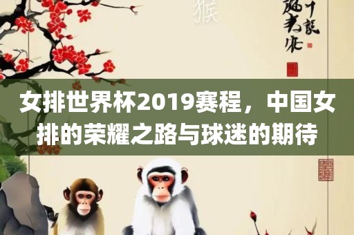 女排世界杯2019赛程，中国女排的荣耀之路与球迷的期待