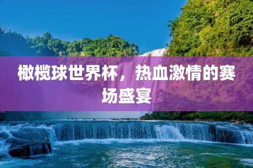 橄榄球世界杯，热血激情的赛场盛宴