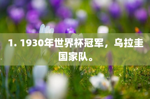 1. 1930年世界杯冠军，乌拉圭国家队。