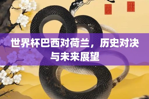 世界杯巴西对荷兰，历史对决与未来展望