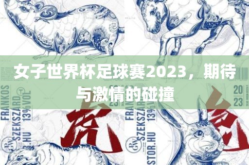 女子世界杯足球赛2023，期待与激情的碰撞