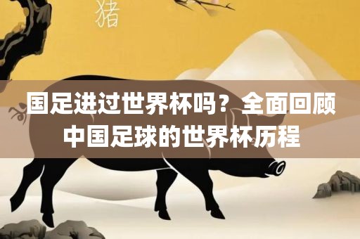 国足进过世界杯吗？全面回顾中国足球的世界杯历程