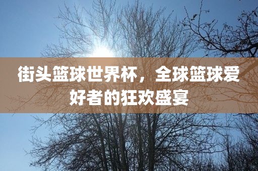 guozhejia 第3页