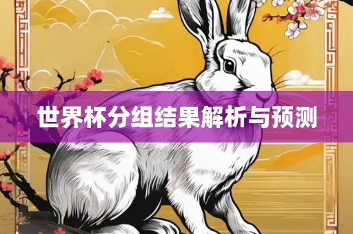 世界杯分组结果解析与预测