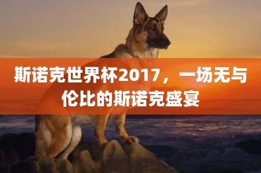斯诺克世界杯2017，一场无与伦比的斯诺克盛宴