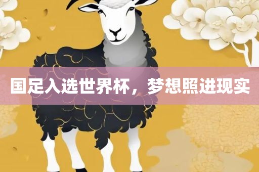 国足入选世界杯，梦想照进现实