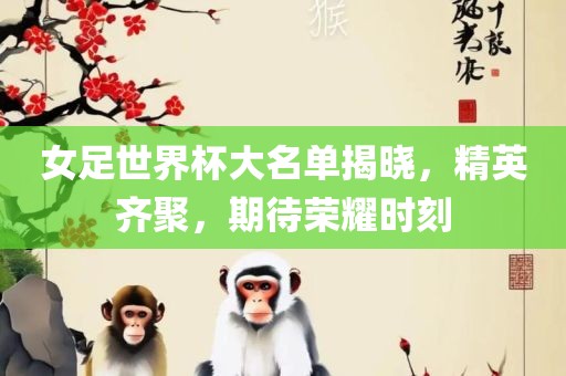 女足世界杯大名单揭晓，精英齐聚，期待荣耀时刻吉安市靖泰电力工程有限公司