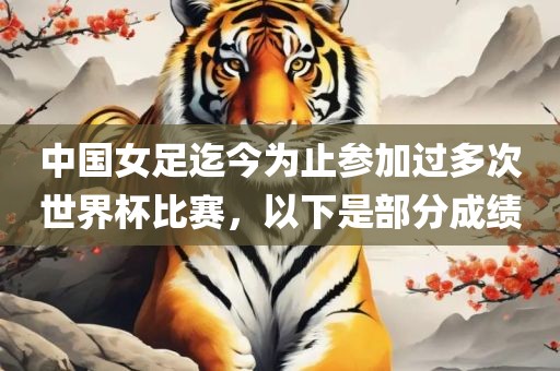 中国女足迄今为止参加过多次世界杯比赛，以下是部分成绩吉安市靖泰电力工程有限公司
