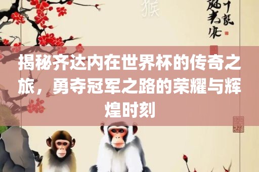 揭秘齐达内在世界杯的传奇之旅，勇夺冠军之路的荣耀与辉煌时刻