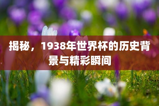 揭秘，1938年世界杯的历史背景与精彩瞬间