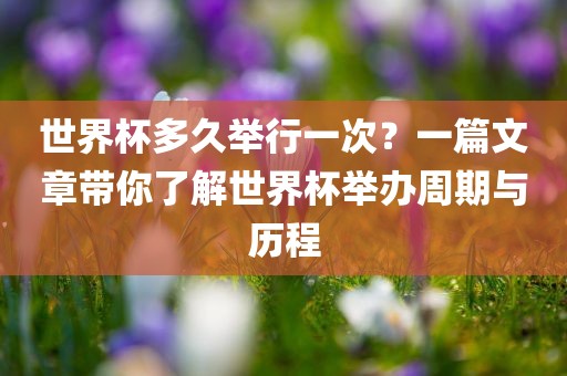 世界杯多久举行一次？一篇文章带你了解世界杯举办周期与历程吉安市靖泰电力工程有限公司