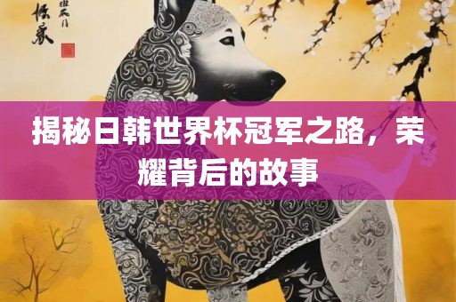 揭秘日韩世界杯冠军之路，荣耀背后的故事