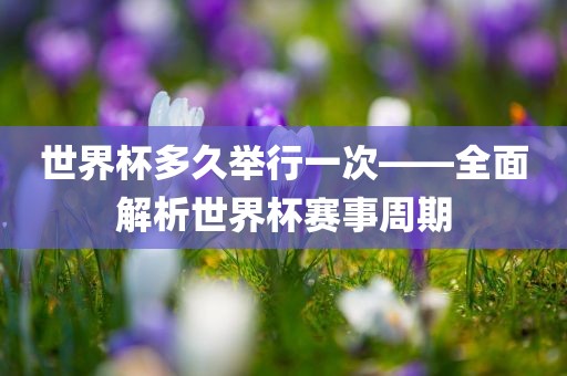 世界杯多久举行一次——全面解析世界杯赛事周期吉安市靖泰电力工程有限公司