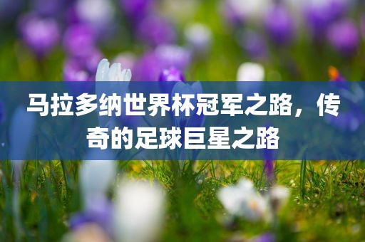马拉多纳世界杯冠军之路，传奇的足球巨星之路