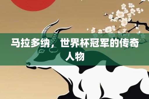 马拉多纳，世界杯冠军的传奇人物