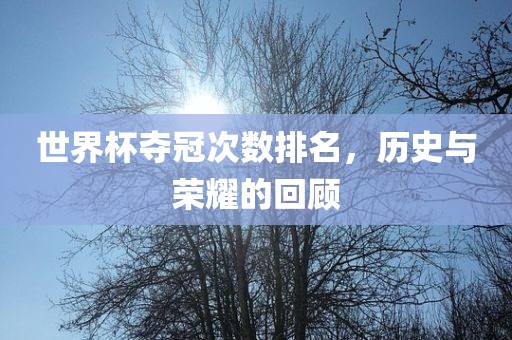 世界杯夺冠次数排名，历史与荣耀的回顾