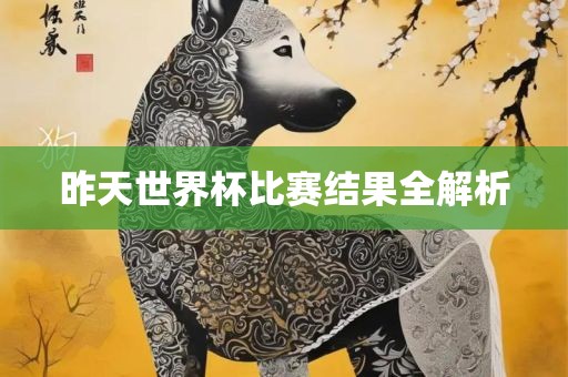 昨天世界杯比赛结果全解析