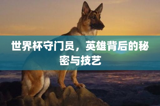 世界杯守门员，英雄背后的秘密与技艺