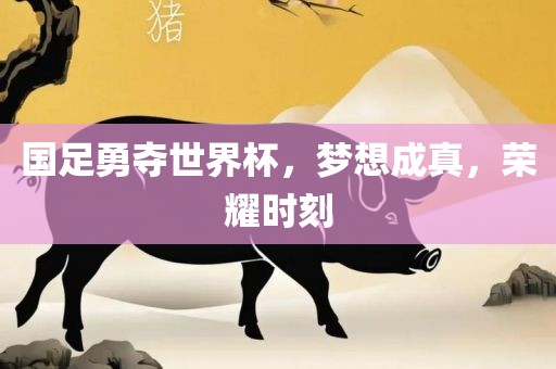 国足勇夺世界杯，梦想成真，荣耀时刻吉安市靖泰电力工程有限公司