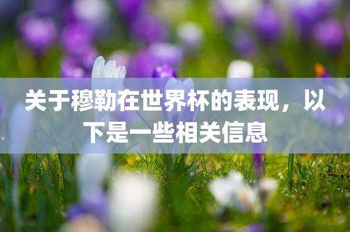 关于穆勒在世界杯的表现，以下是一些相关信息吉安市靖泰电力工程有限公司