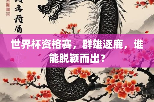 世界杯资格赛，群雄逐鹿，谁能脱颖而出？