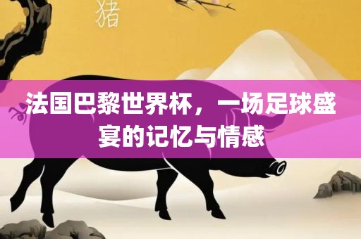 法国巴黎世界杯，一场足球盛宴的记忆与情感