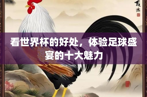 看世界杯的好处，体验足球盛宴的十大魅力