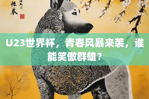 U23世界杯，青春风暴来袭，谁能笑傲群雄？