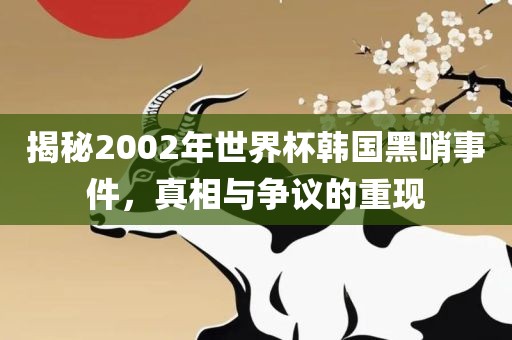 揭秘2002年世界杯韩国黑哨事件，真相与争议的重现吉安市靖泰电力工程有限公司