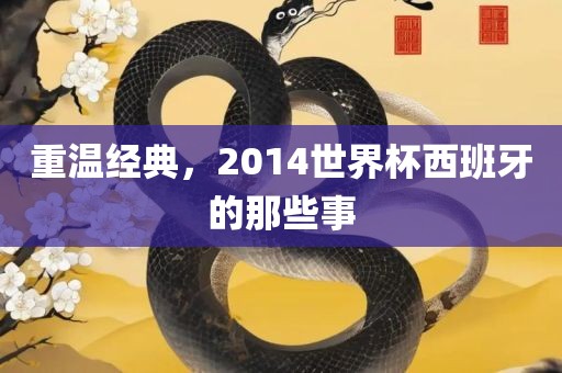 重温经典，2014世界杯西班牙的那些事