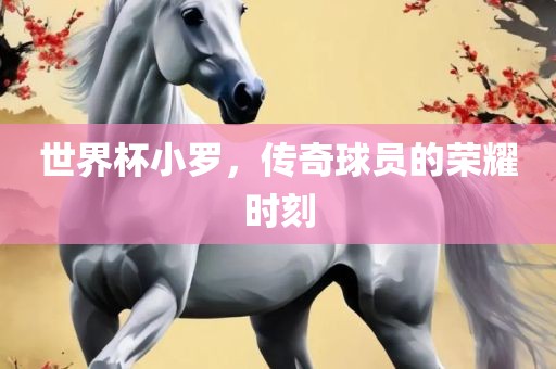 世界杯小罗，传奇球员的荣耀时刻