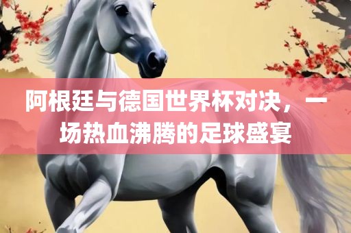 阿根廷与德国世界杯对决，一场热血沸腾的足球盛宴