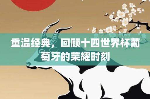 重温经典，回顾十四世界杯葡萄牙的荣耀时刻吉安市靖泰电力工程有限公司