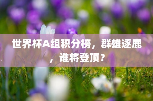 世界杯A组积分榜，群雄逐鹿，谁将登顶？