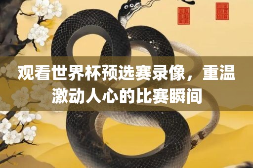 观看世界杯预选赛录像，重温激动人心的比赛瞬间吉安市靖泰电力工程有限公司