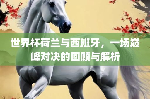 世界杯荷兰与西班牙，一场巅峰对决的回顾与解析