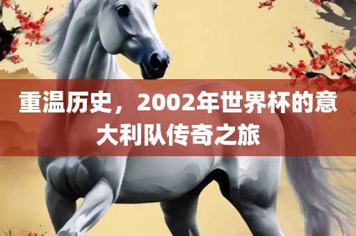 重温历史，2002年世界杯的意大利队传奇之旅