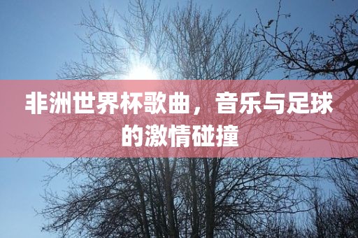 非洲世界杯歌曲，音乐与足球的激情碰撞