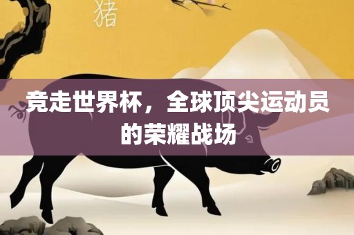 竞走世界杯，全球顶尖运动员的荣耀战场吉安市靖泰电力工程有限公司