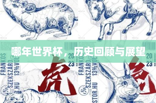 哪年世界杯，历史回顾与展望