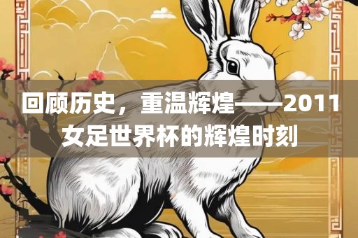 回顾历史，重温辉煌——2011女足世界杯的辉煌时刻吉安市靖泰电力工程有限公司