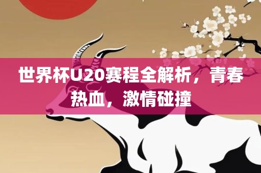 世界杯U20赛程全解析，青春热血，激情碰撞